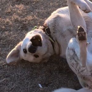 Meet your Posher, Katelynn